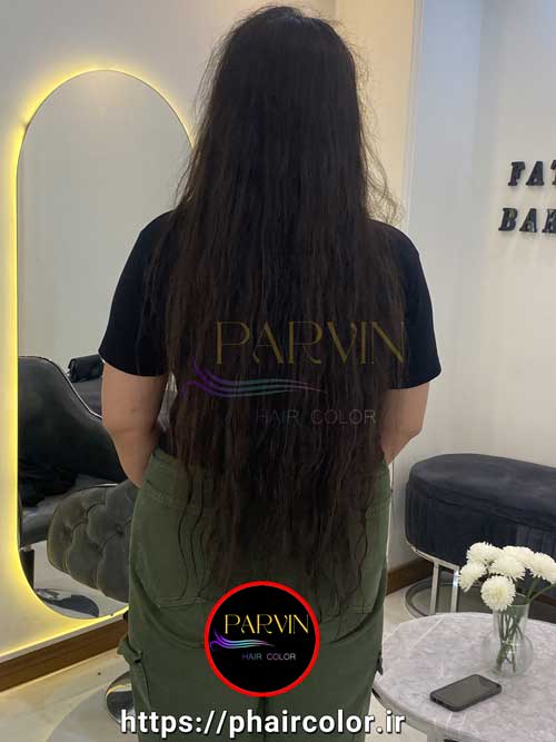 پروین زبردست
