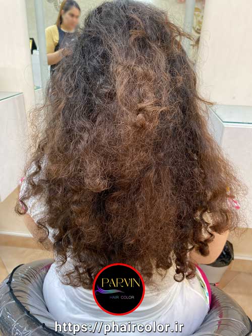 پروین زبردست