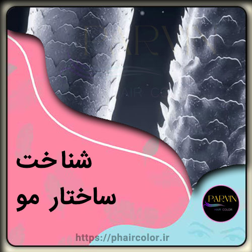 شناخت ساختار مو